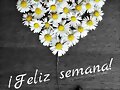 FELIZ SEMANA