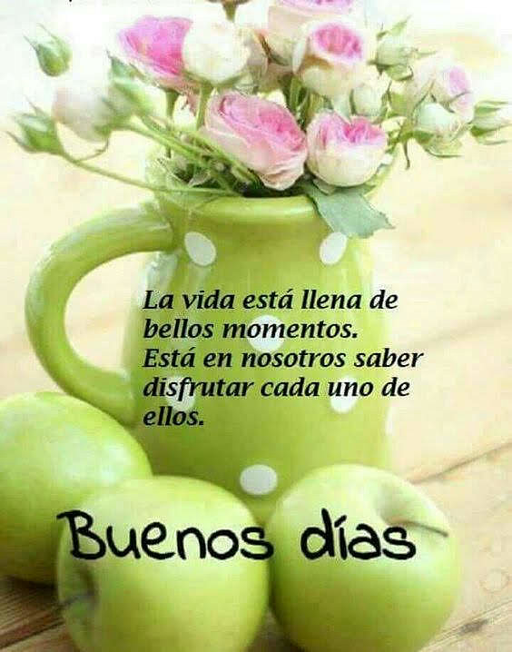 FELIZ JUEVES. HOY SIN SOL,,, DE MOMENTO!
