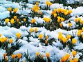 FELIZ SABADO, NEVADITO EN MUCHAS PARTES