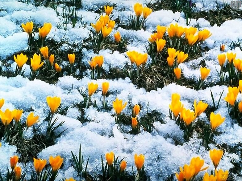 FELIZ SABADO, NEVADITO EN MUCHAS PARTES