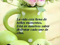 FELIZ MIERCOLES