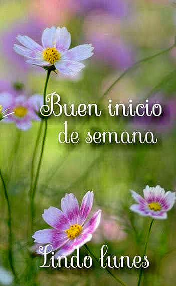 FELIZ INICIO DE SEMANA