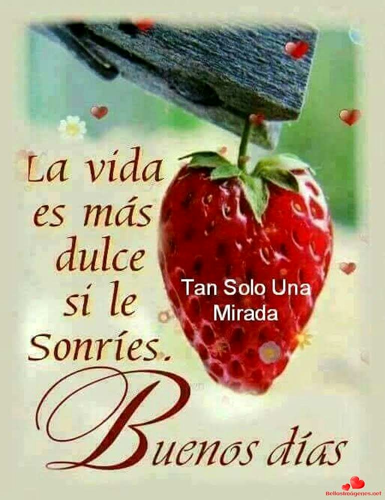 FELIZ MIERCO0LES