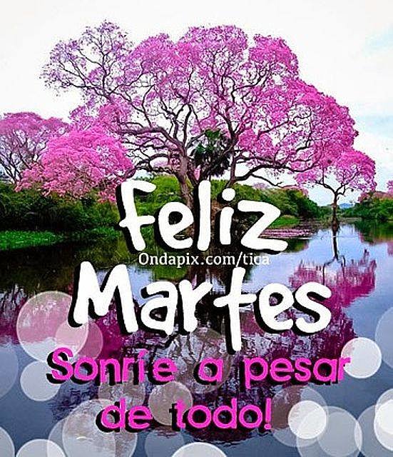 FELIZ MARTES