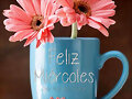 FELIZ MIERCOLES