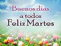 FELIZ MARTES