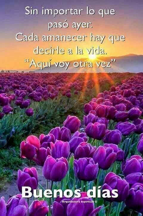 FELIZ SABADO