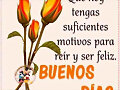 FELIZ MIERCOLES