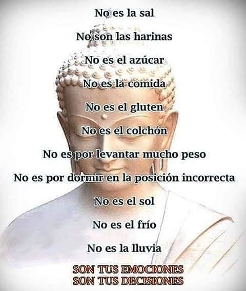 FELIZ LUNES