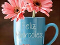 FELIZ MIERCOLES