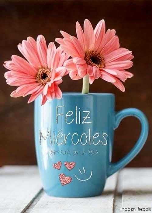 FELIZ MIERCOLES