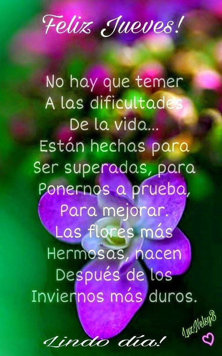 FELIZ JUEVES