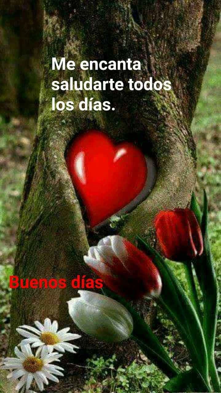 FELIZ LUNES