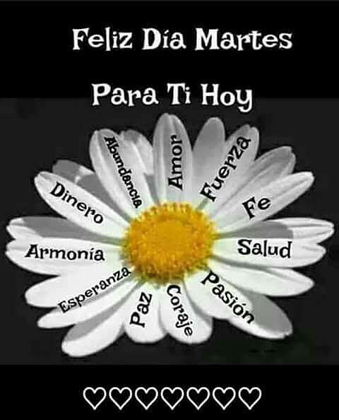 FELIZ MARTES