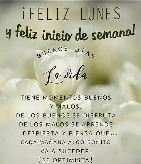 FELIZ LUNES