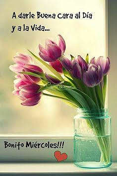 FELIZ Y CALUROSO MIERCOLES