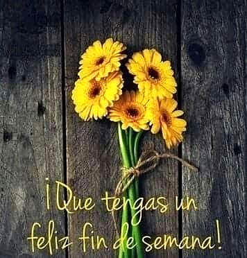 FELIZ FINDE