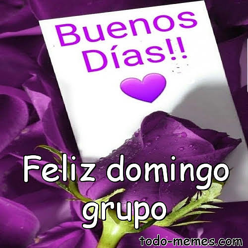 MUY BUEN DOMINGO