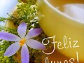FELIZ LUNES