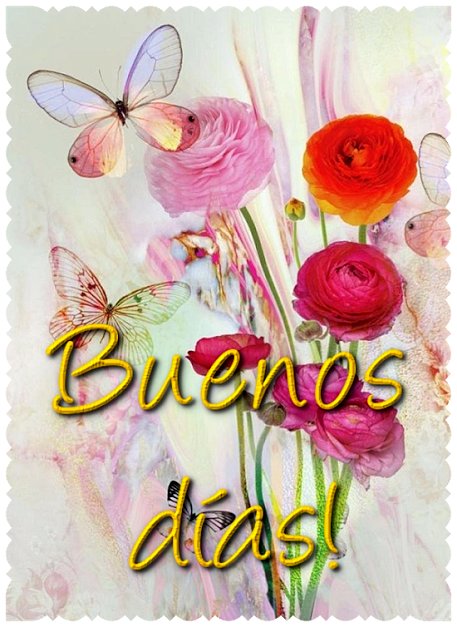 FELIZ MIERCOLES