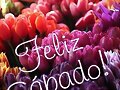FELIZ SABADO