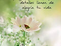 FELIZ VIERNES