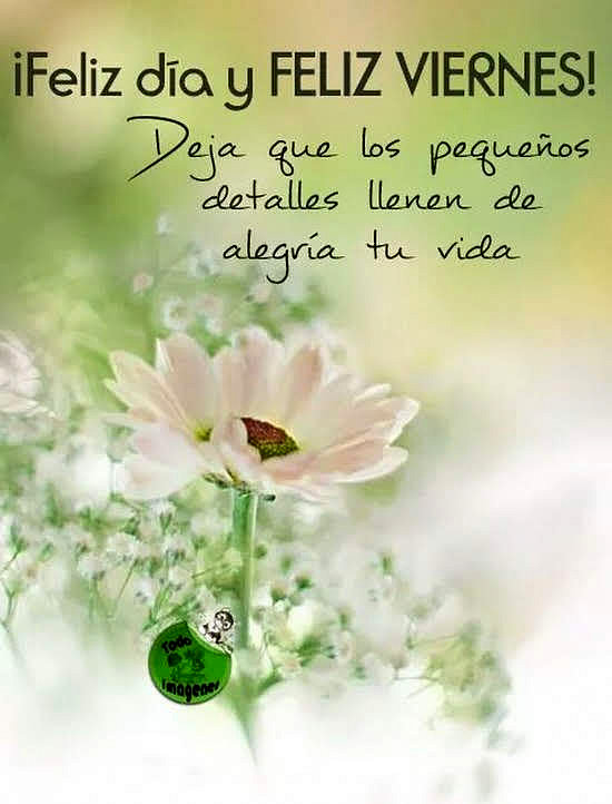 FELIZ VIERNES