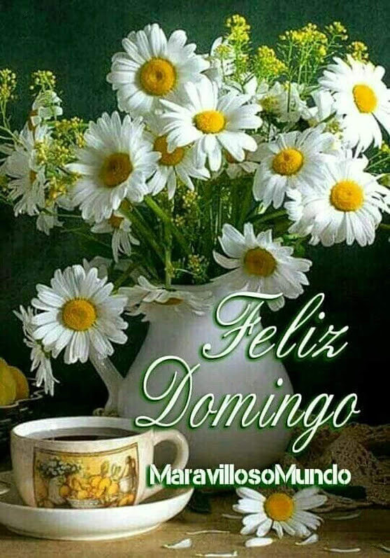 FELIZ DOMINGO