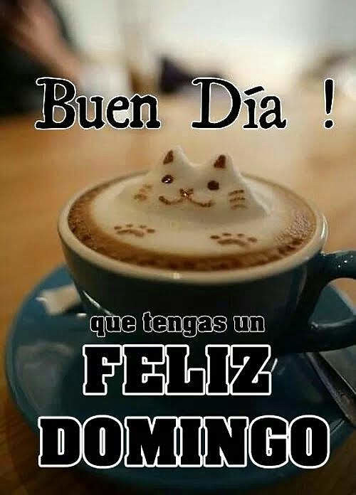 FELIZ DOMINGO