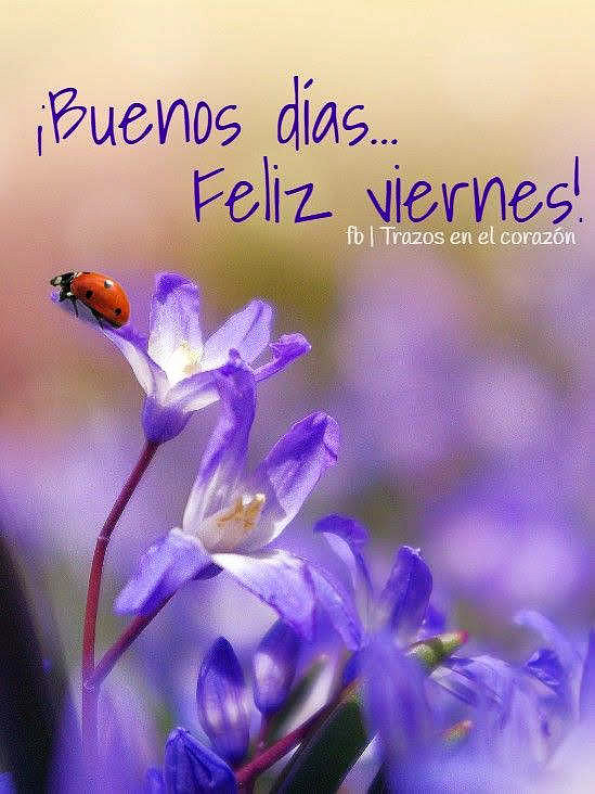 FELIZ VIERNES