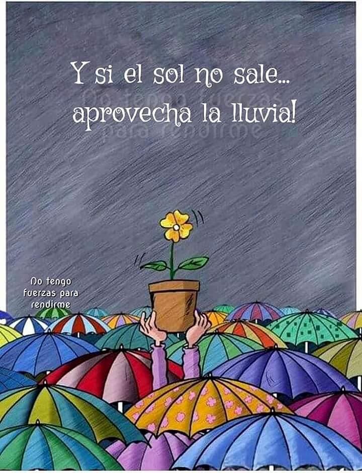 FELIZ VIERNES