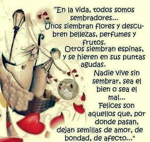 FELIZ MARTES