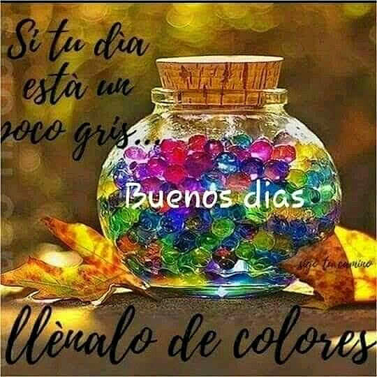 FELIZ MARTES