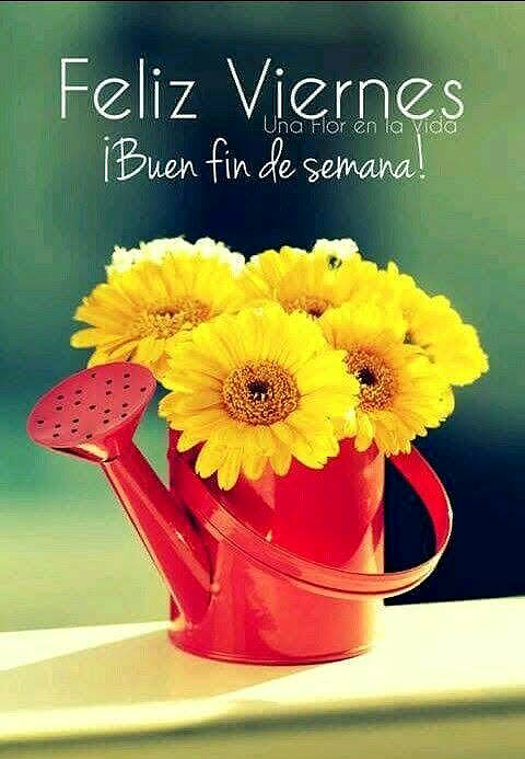 FELIZ VIERNES