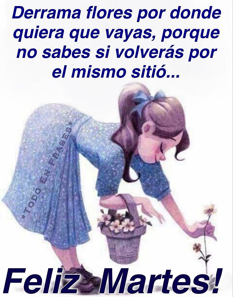 FELIZ MARTES