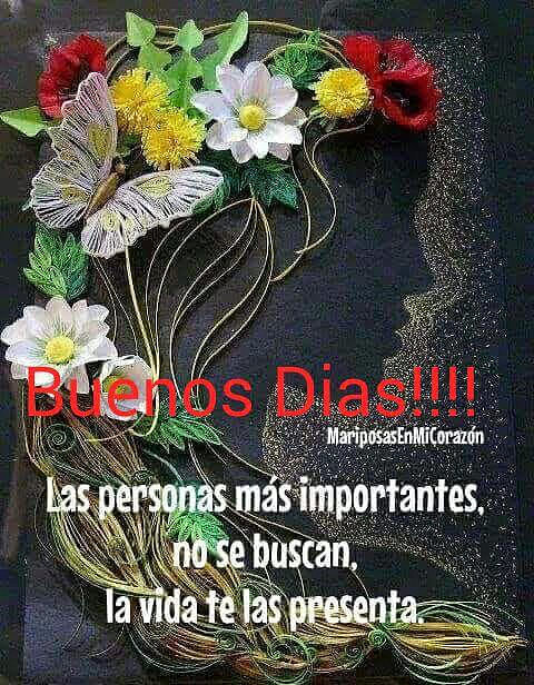 FELIZ MARTES