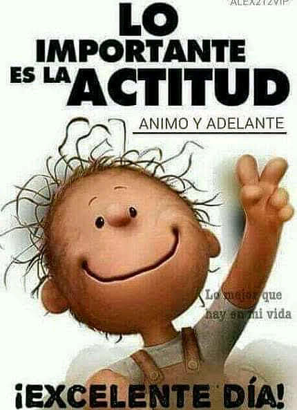 FELIZ MIERCOLES