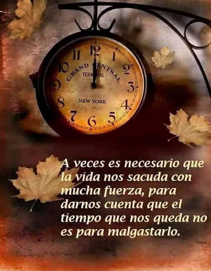 FELIZ INICIO DE SEMANA