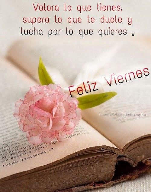 VIERNES... OTRO DIA MAS