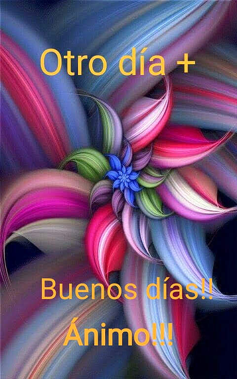 MIERCOLES