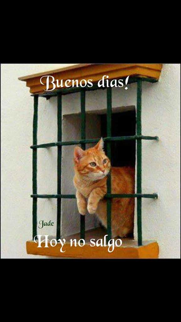 BUEN INCIO DE SEMANA