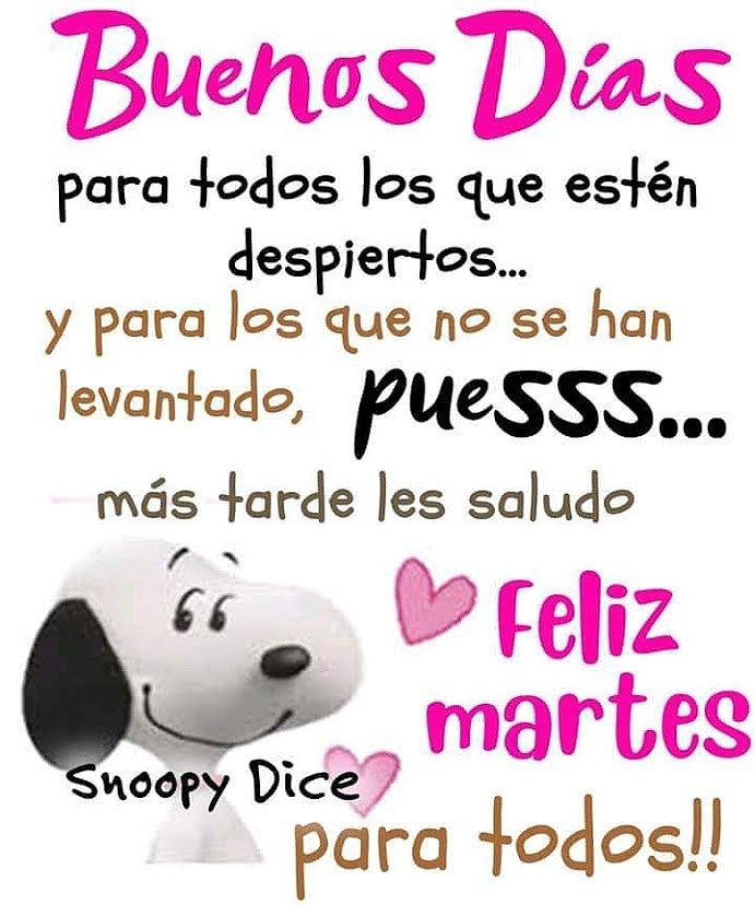 FELIZ MARTES