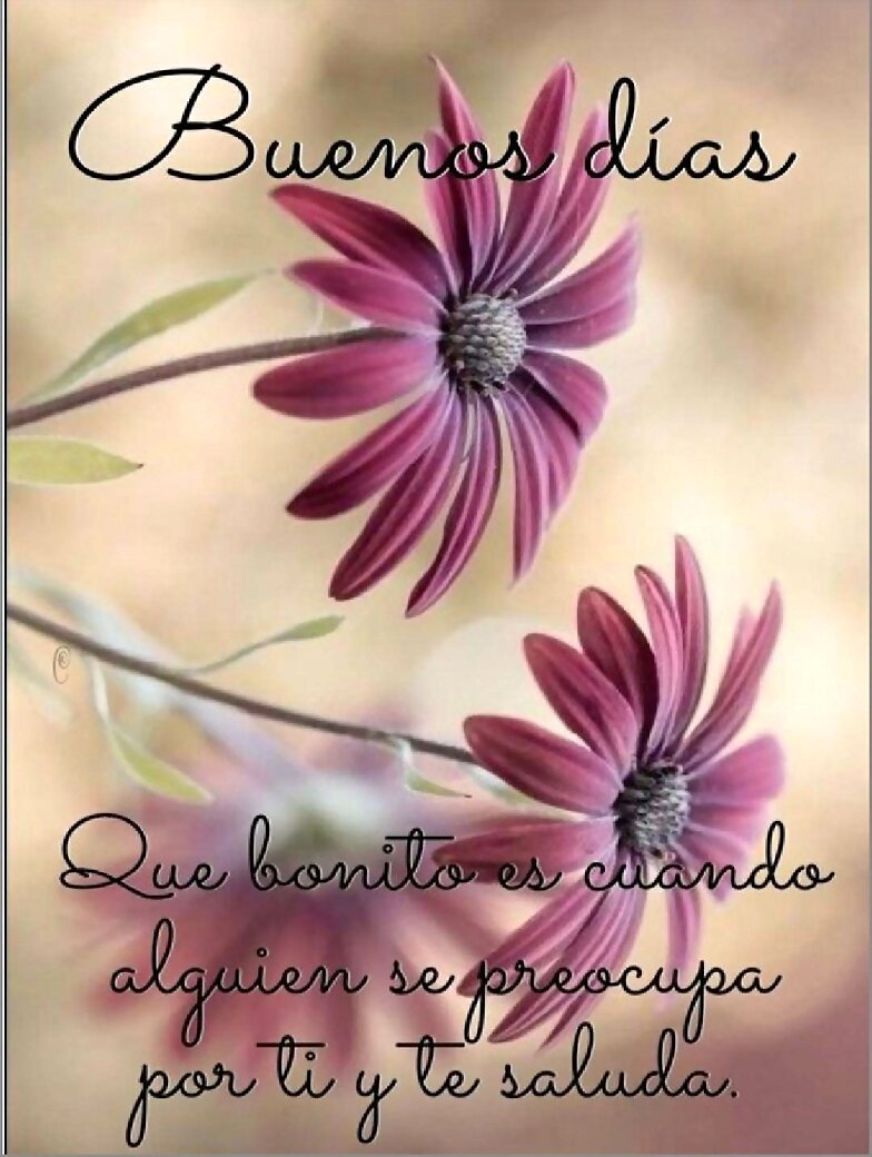 FELIZ JUEVES