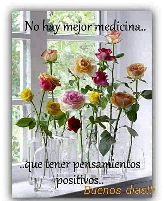FELIZ MARTES