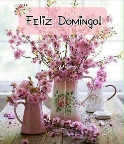 FELIZ DOMINGO