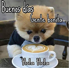 FELIZ MARTES