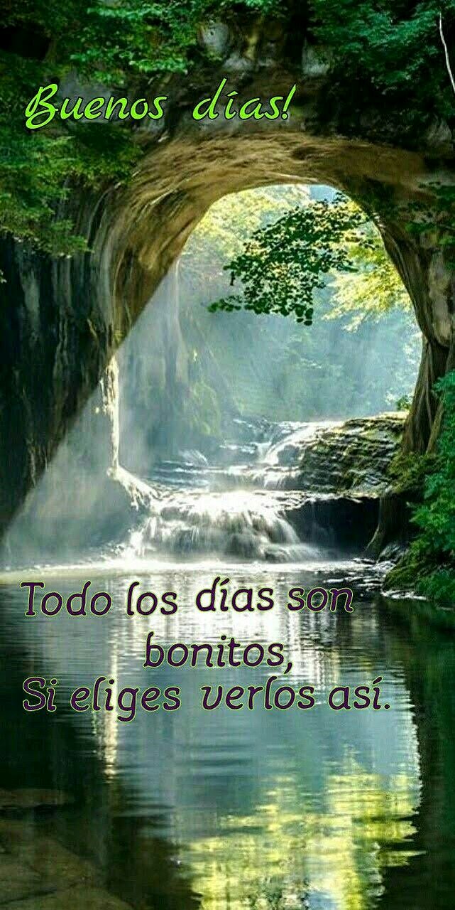 FELIZ MARTES