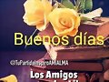 FELIZ DOMINGO