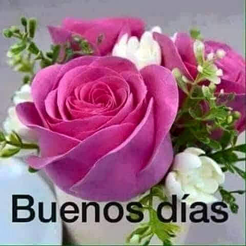 FELIZ MIERCOLES