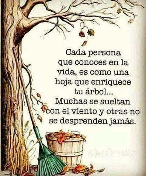 FELIZ MARTES